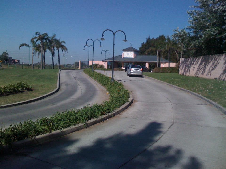 pavimento